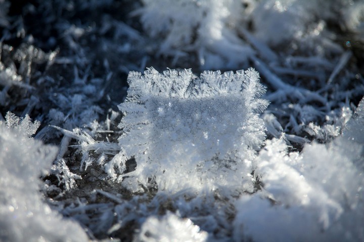 macro