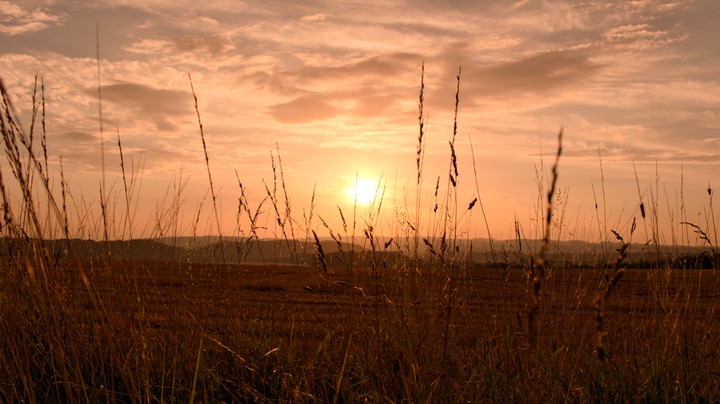 A golden sunset