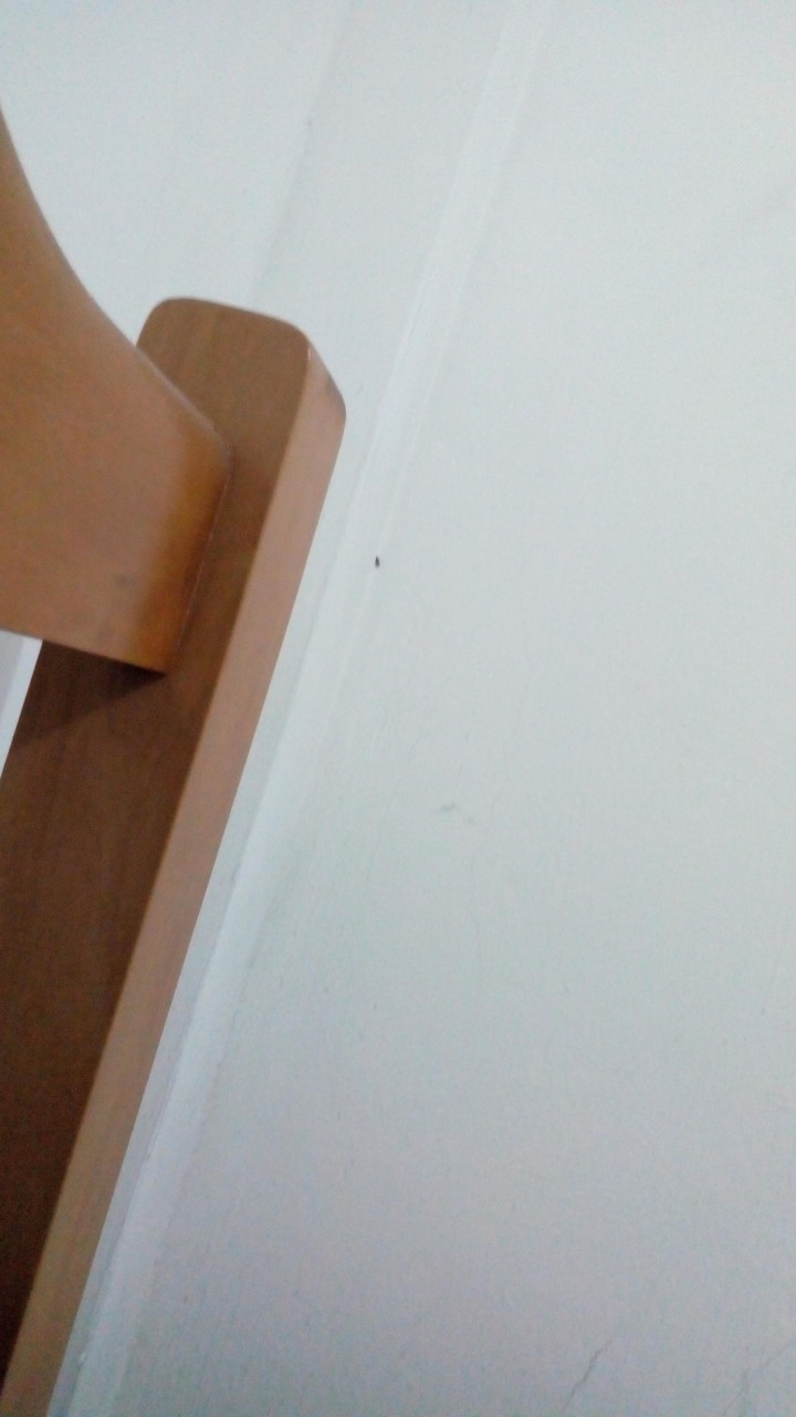 simple wood bed