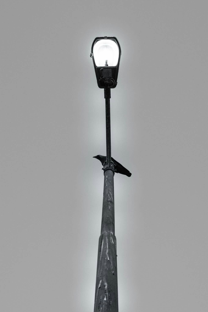 street lamp