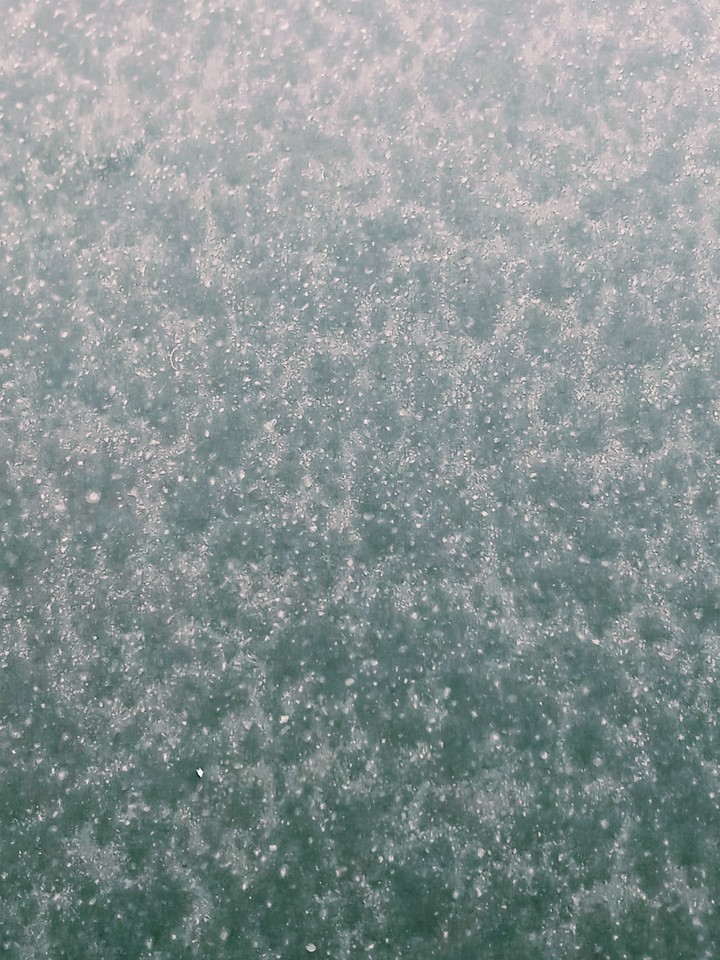drizzle