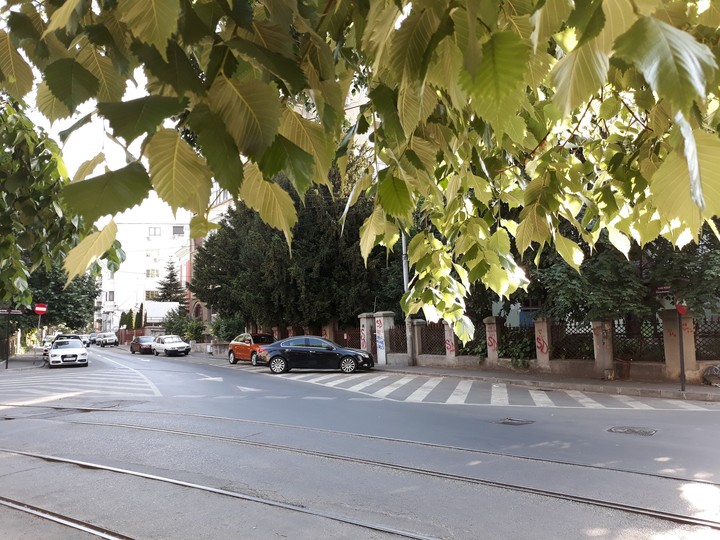 Bucharest