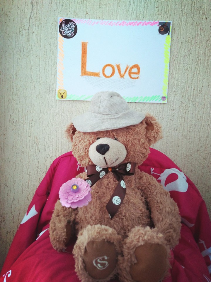 ursinho Teddy