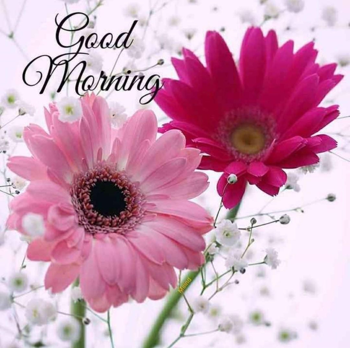 good morning