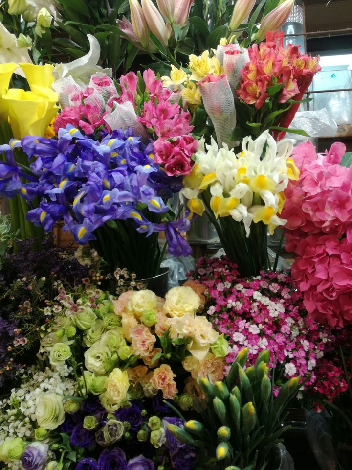Riot of colour