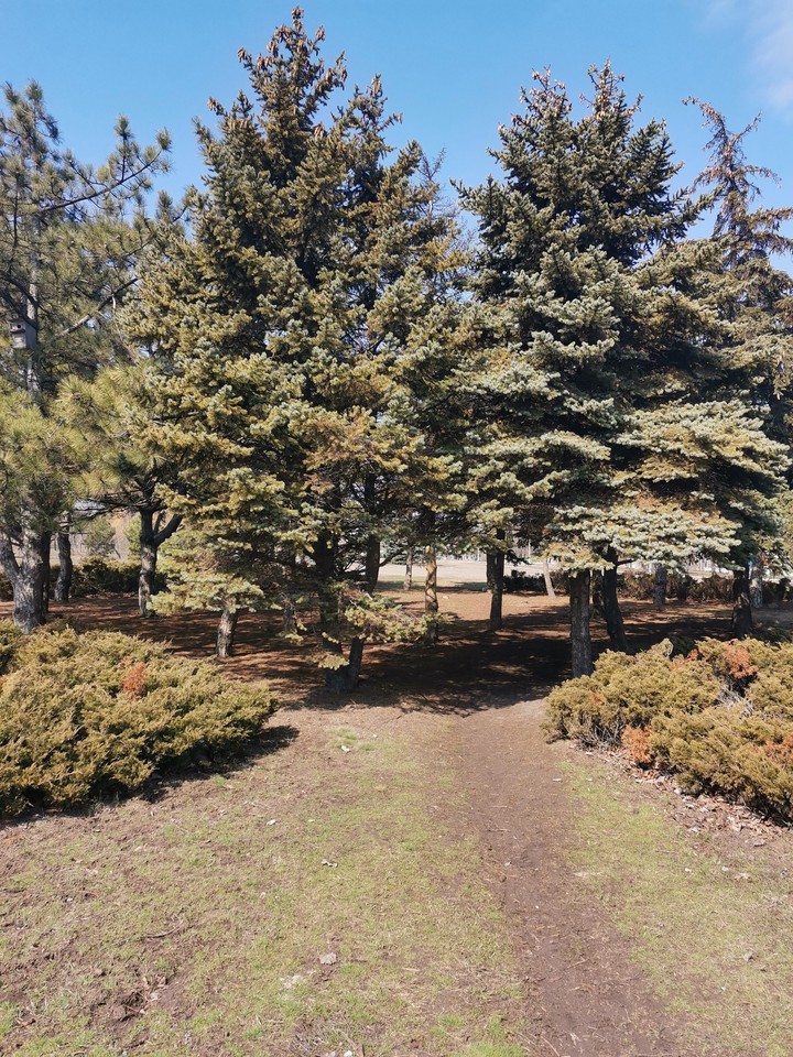 Парк