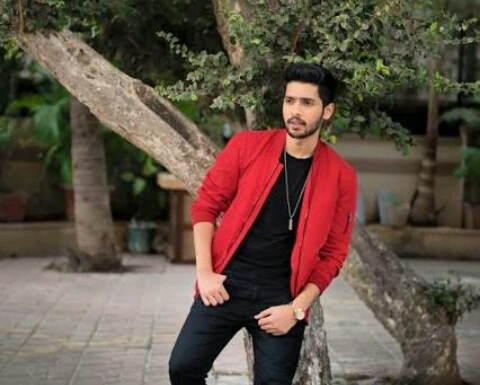 favorite playback singer