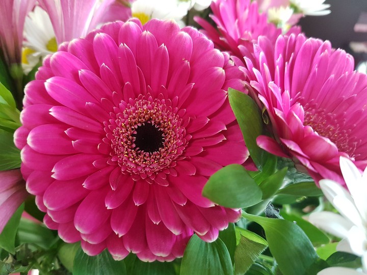 Flowers