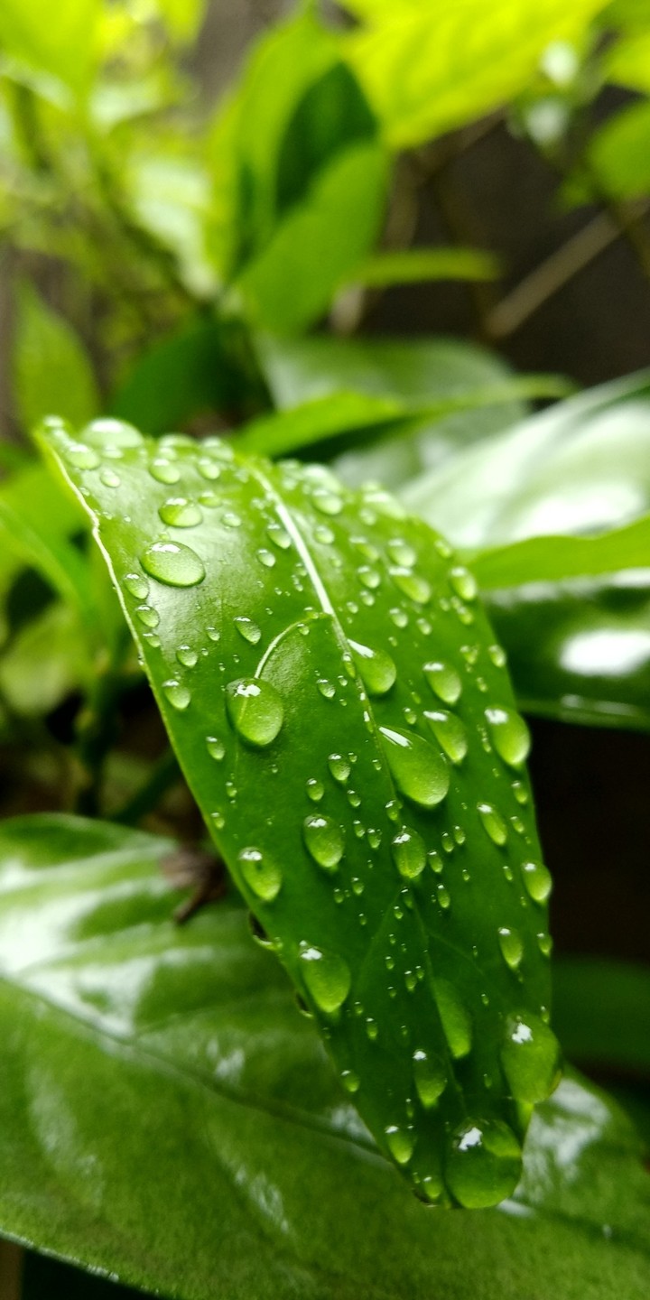 #Raindrops