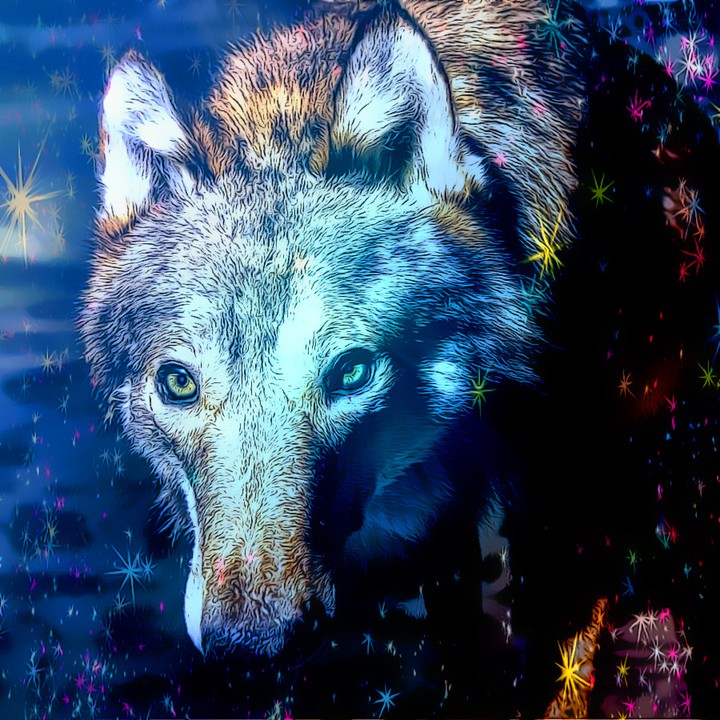 coyote