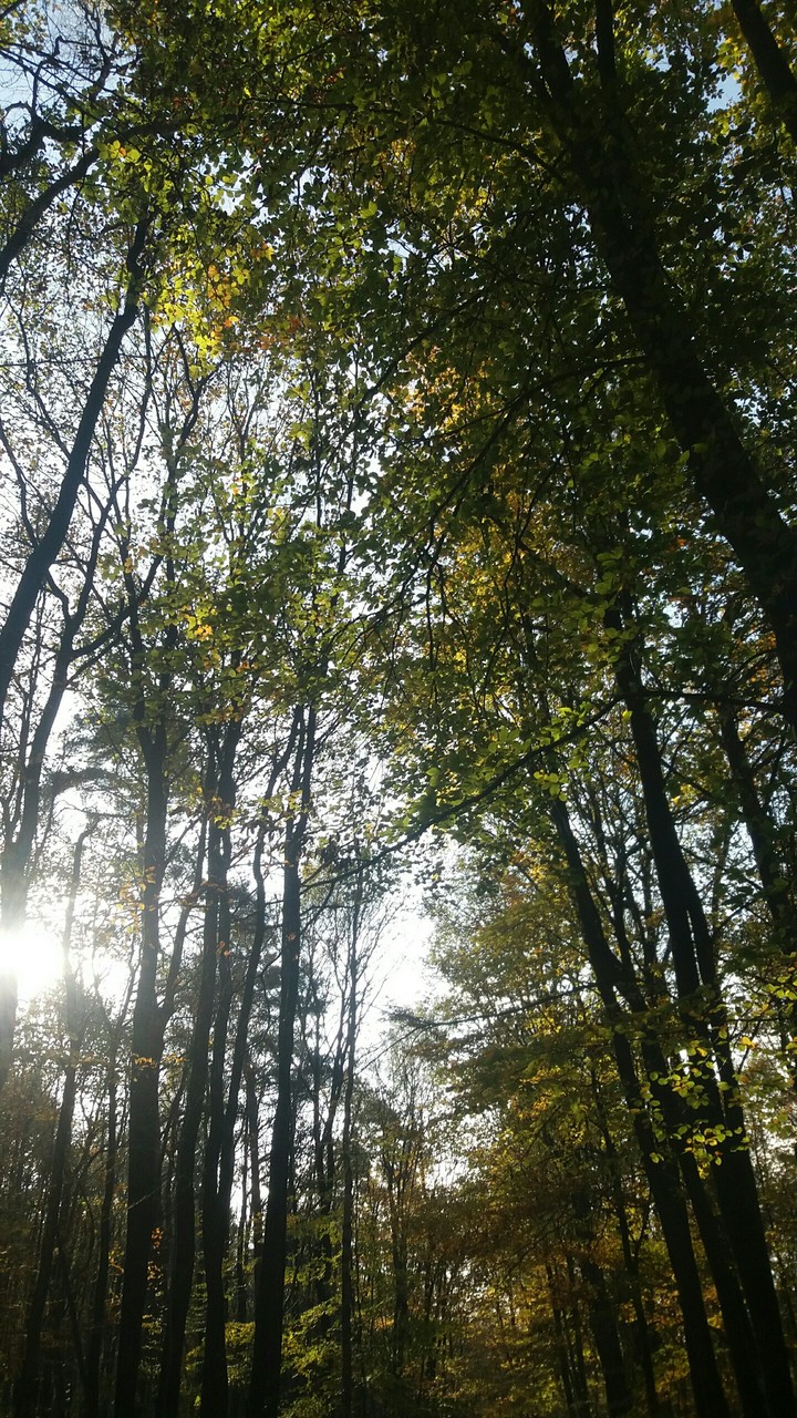 RELAXING