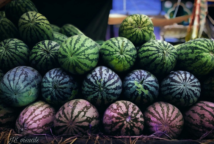 The magical Melons
