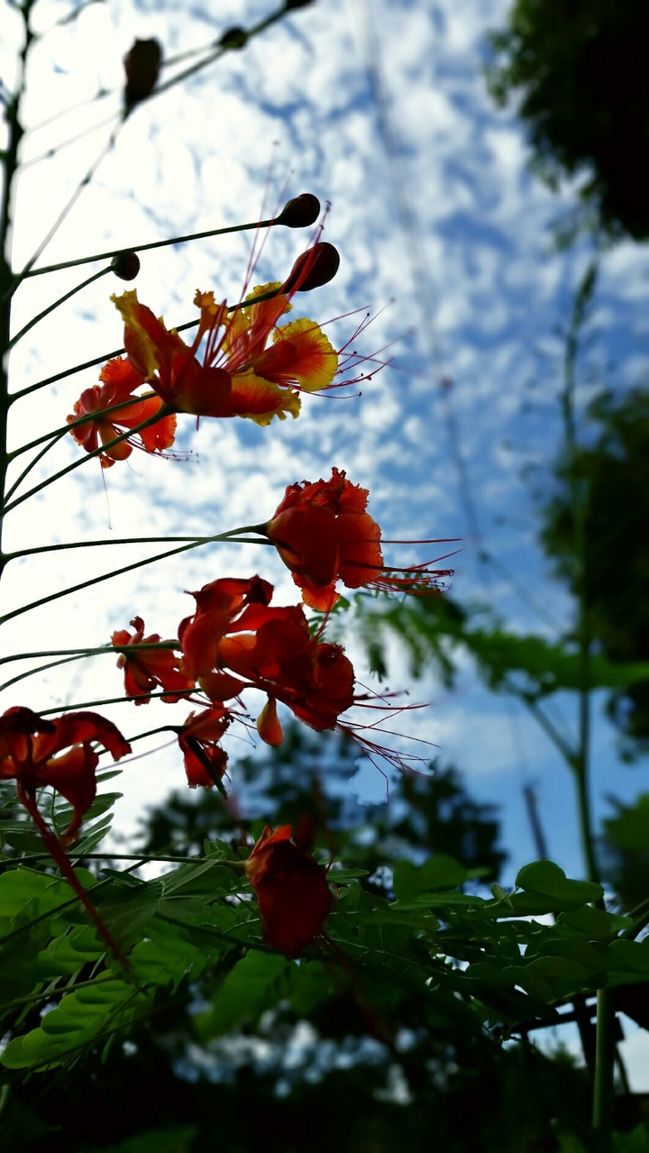 Natureza