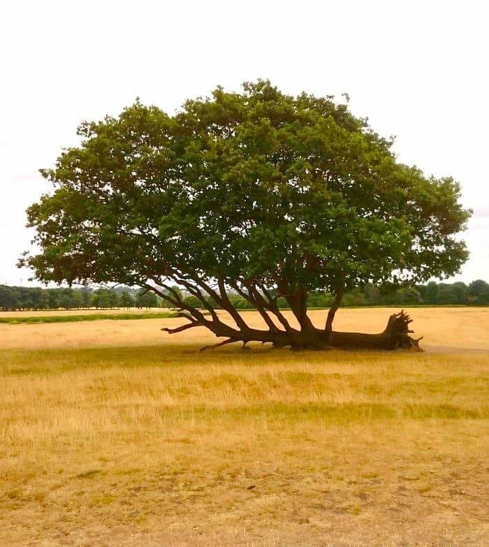 Take efforts till you succeed ❣