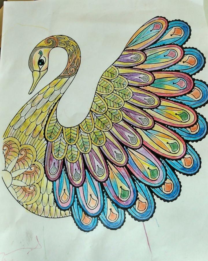 zentangle swan