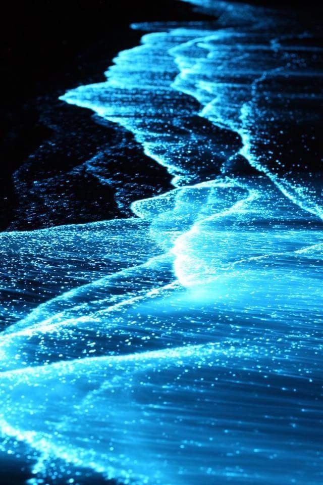Blue Lights
