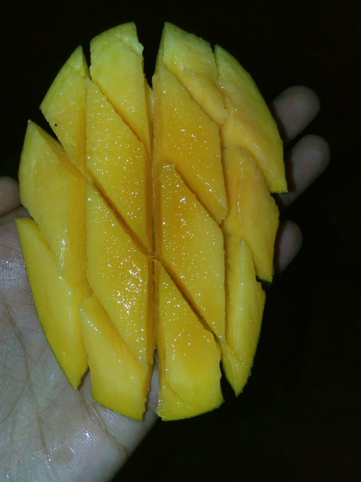 mengo