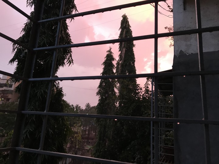 when it turns pink!