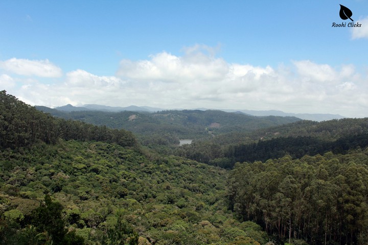 a distant lake