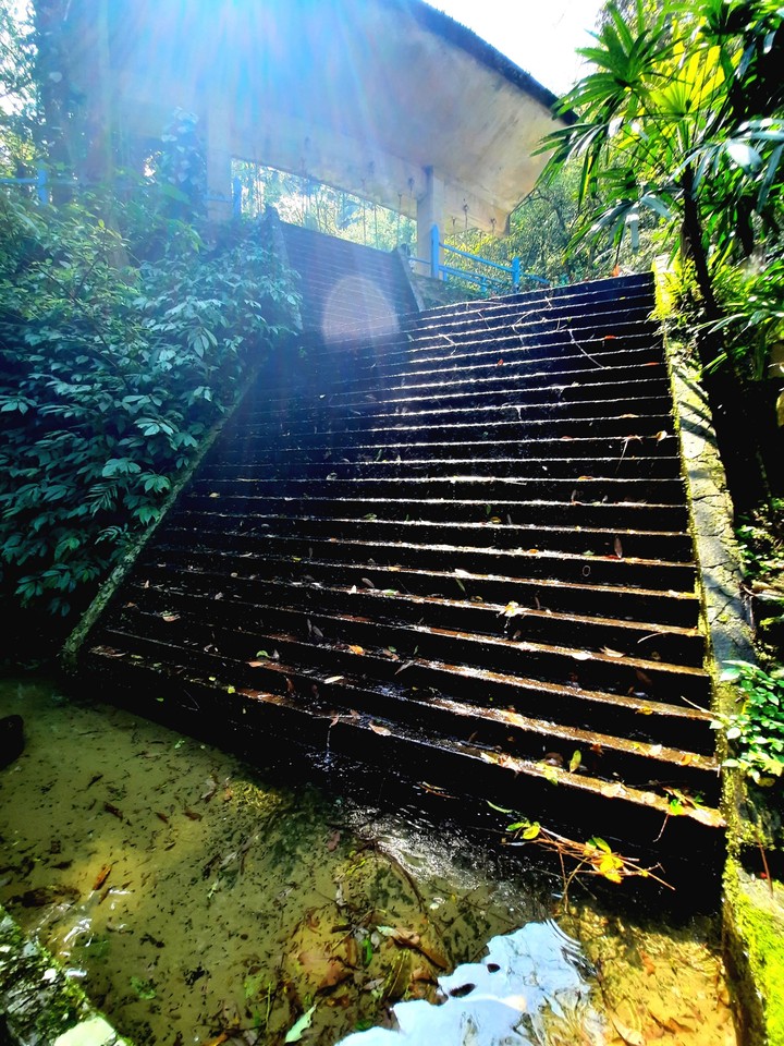 Stairs