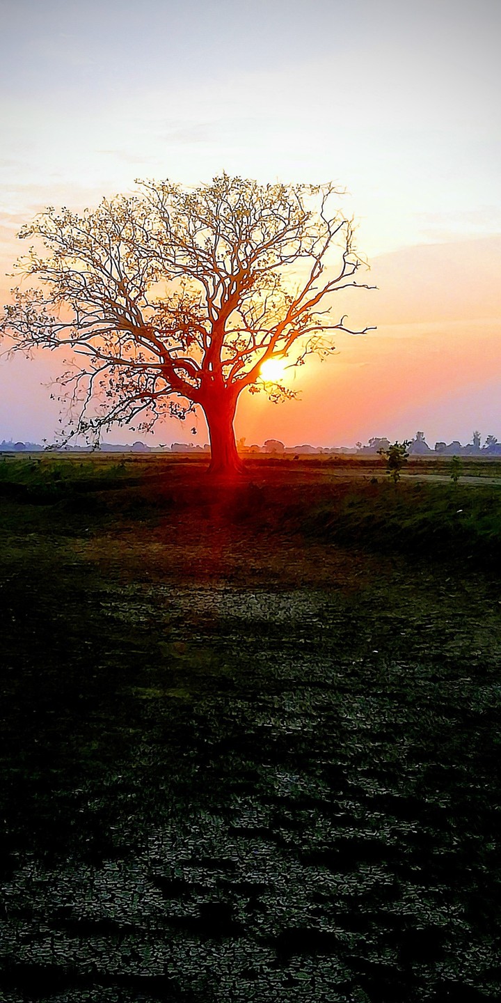 #sunset