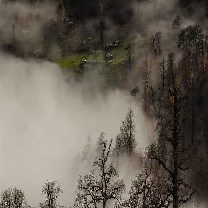 fog