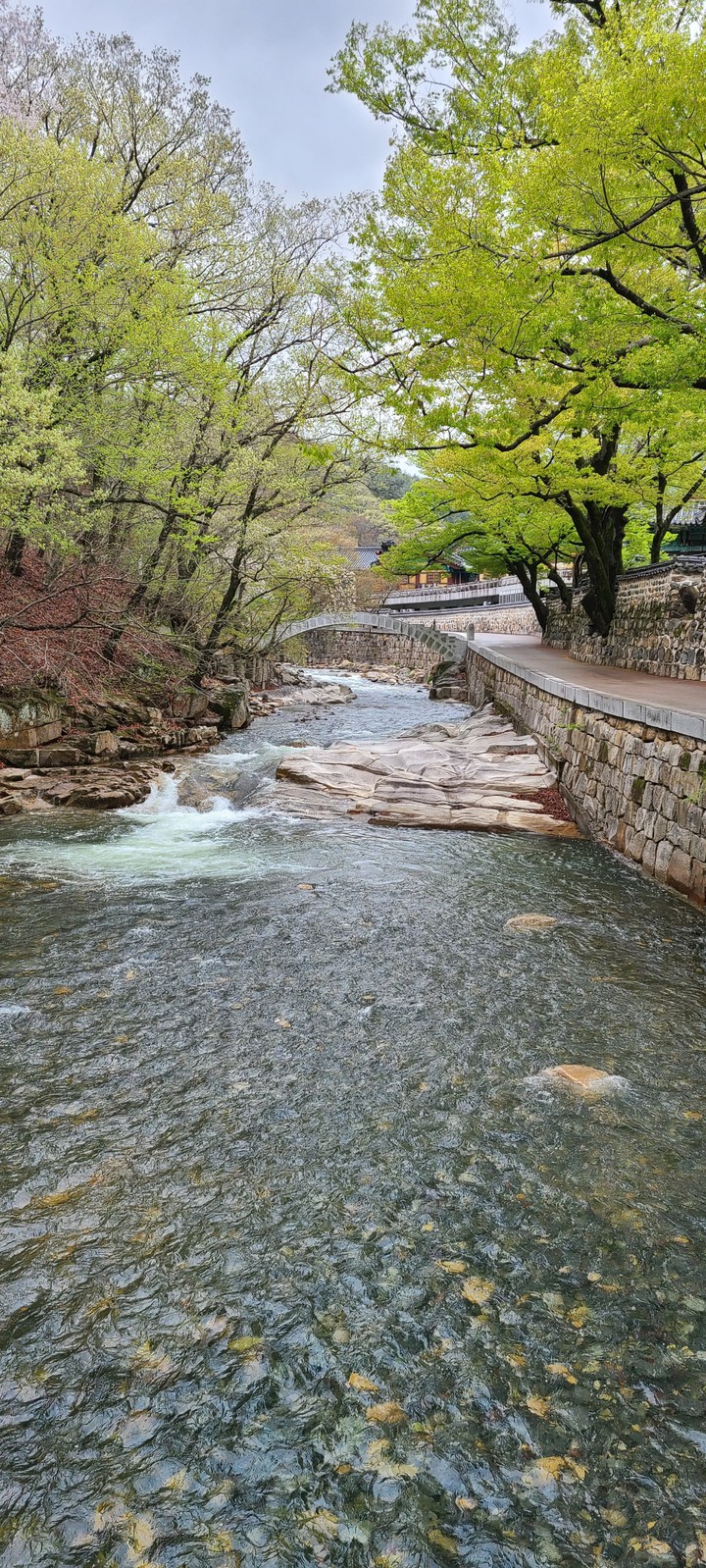 강