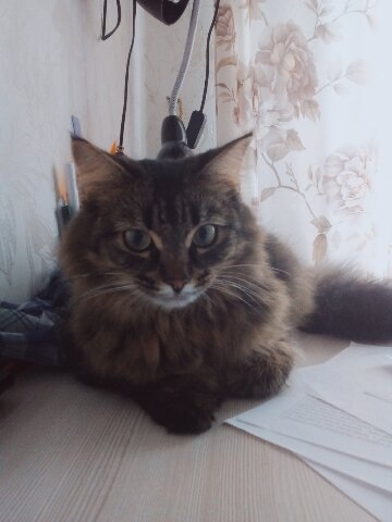 ктоик