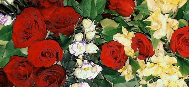 rose