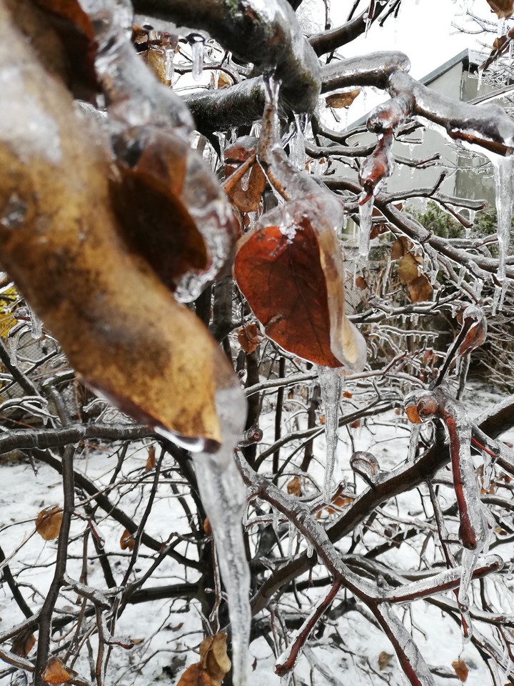 magic winter