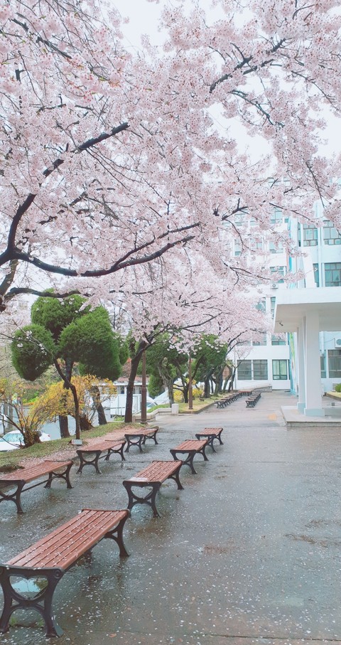 Spring
