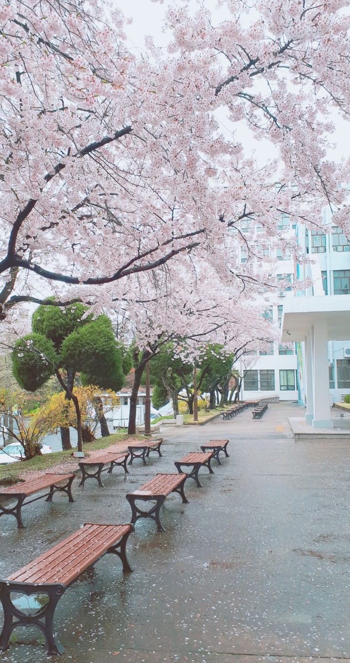Spring