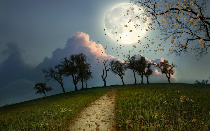 Night moon digital art