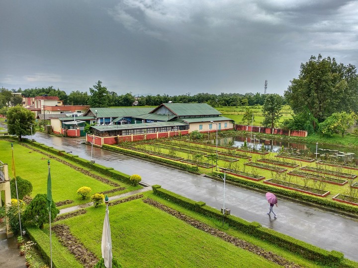 after rain