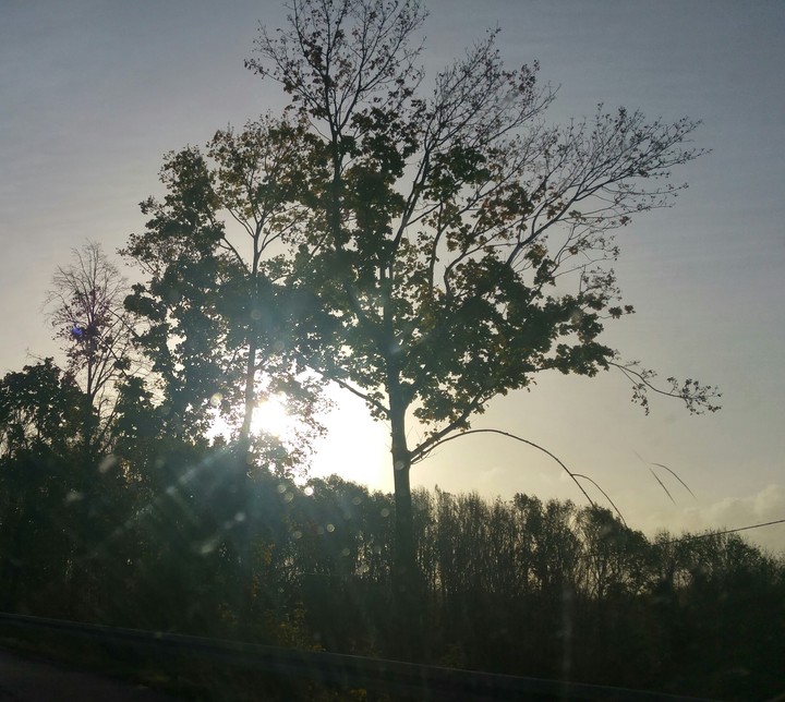 Beautiful Day