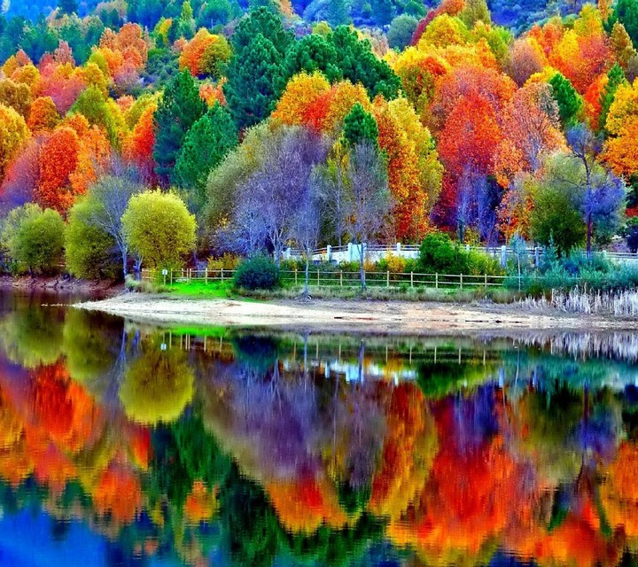 Nature