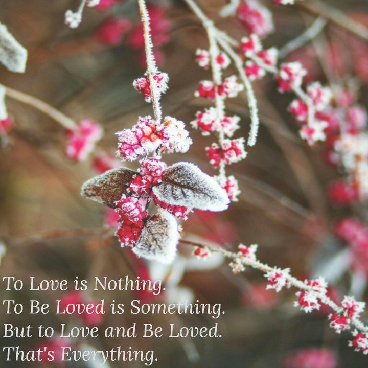 Love