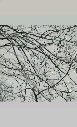 Falling glitter