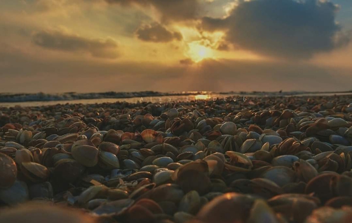 port said
