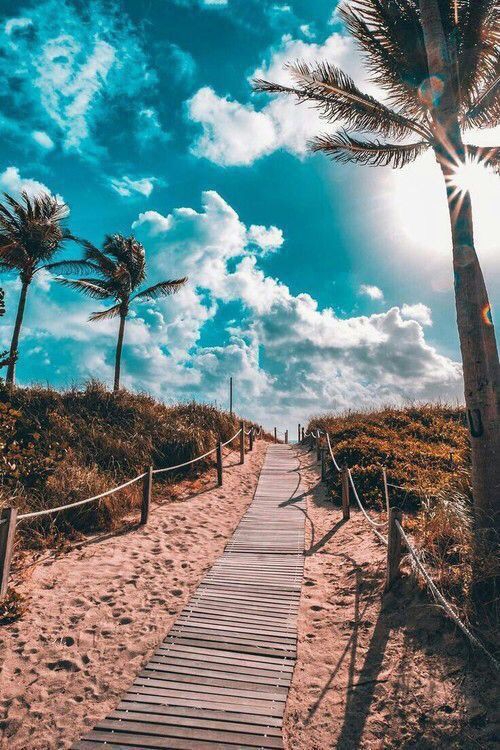 summer