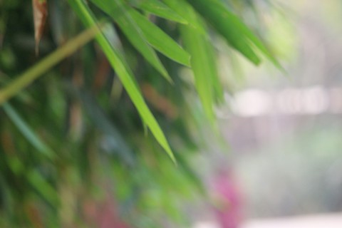 #Green