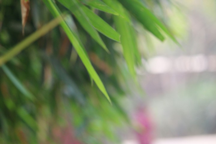 #Green