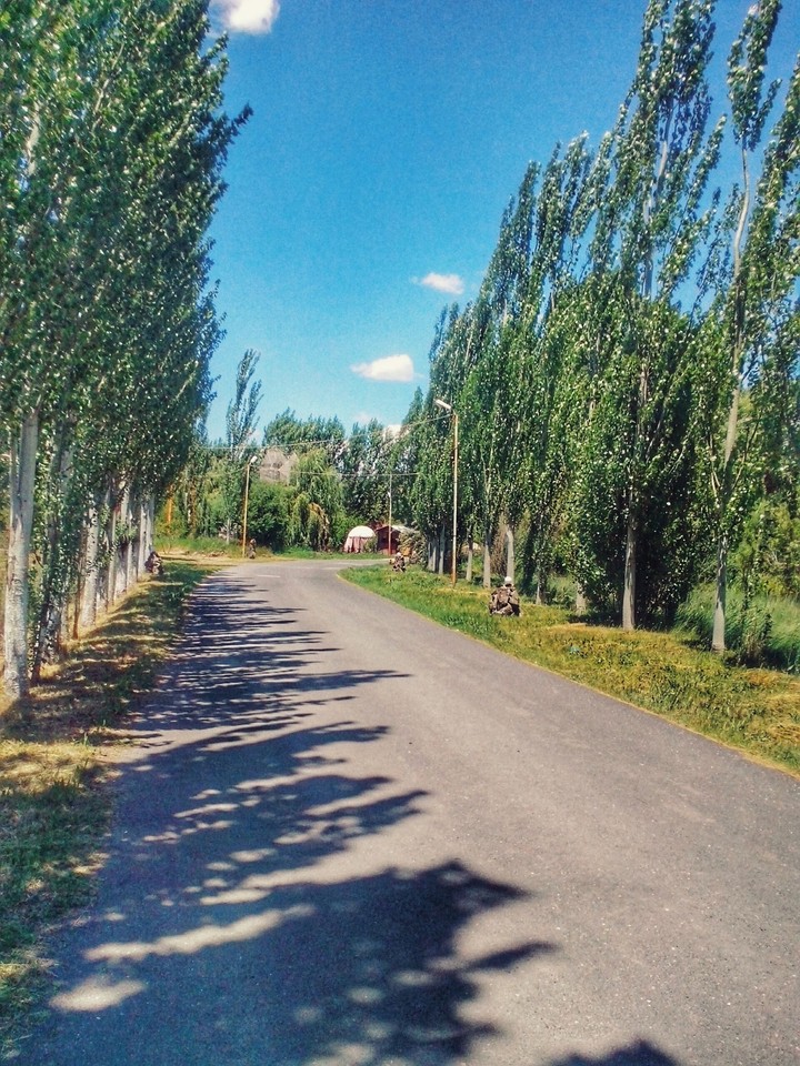 nature
