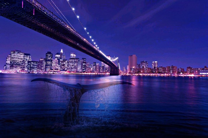 the whole city