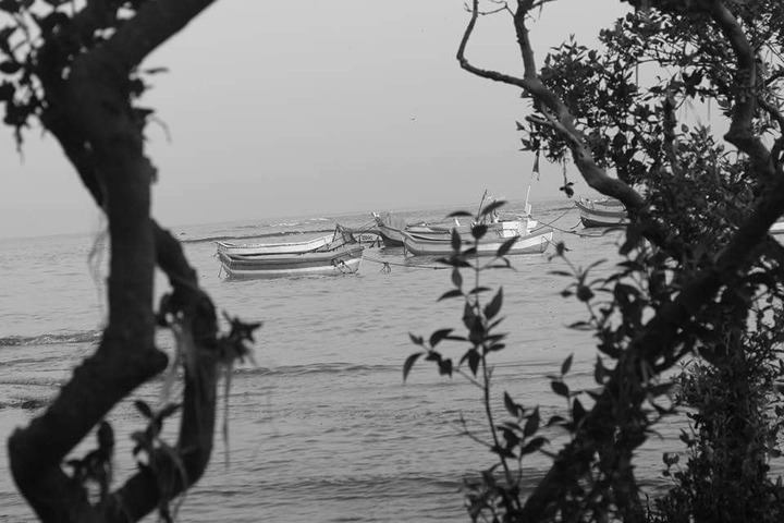 Sea Shore
