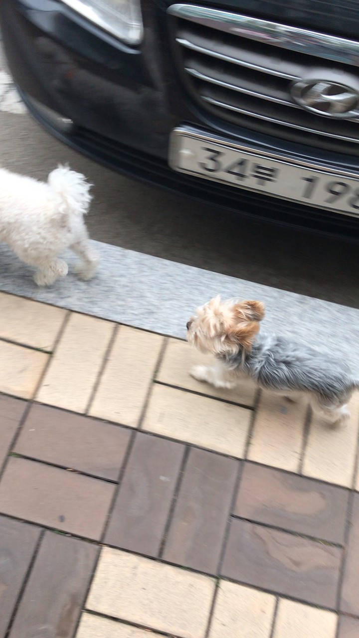 딴데로 세지마라 형!