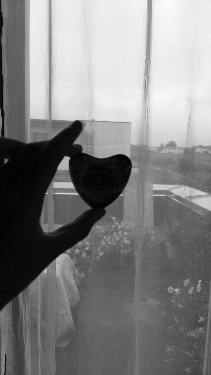 heart