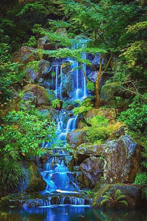 Nature _ Waterfall