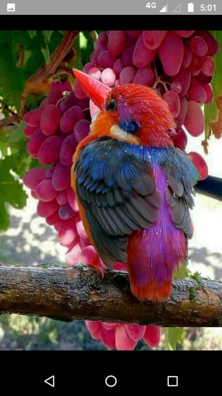 beautiful