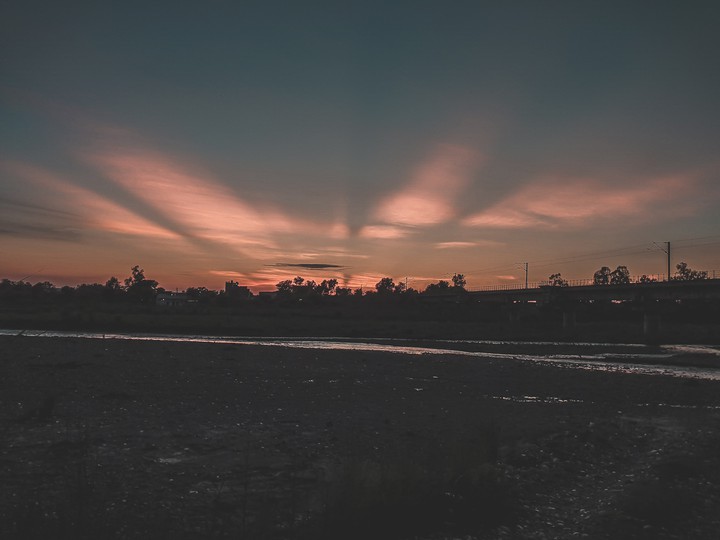 nature playing dj